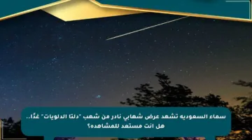 سماء السعودية تشهد عرض شهابي نادر من شهب “دلتا الدلويات” غدًا.. هل أنت مستعد للمشاهدة؟